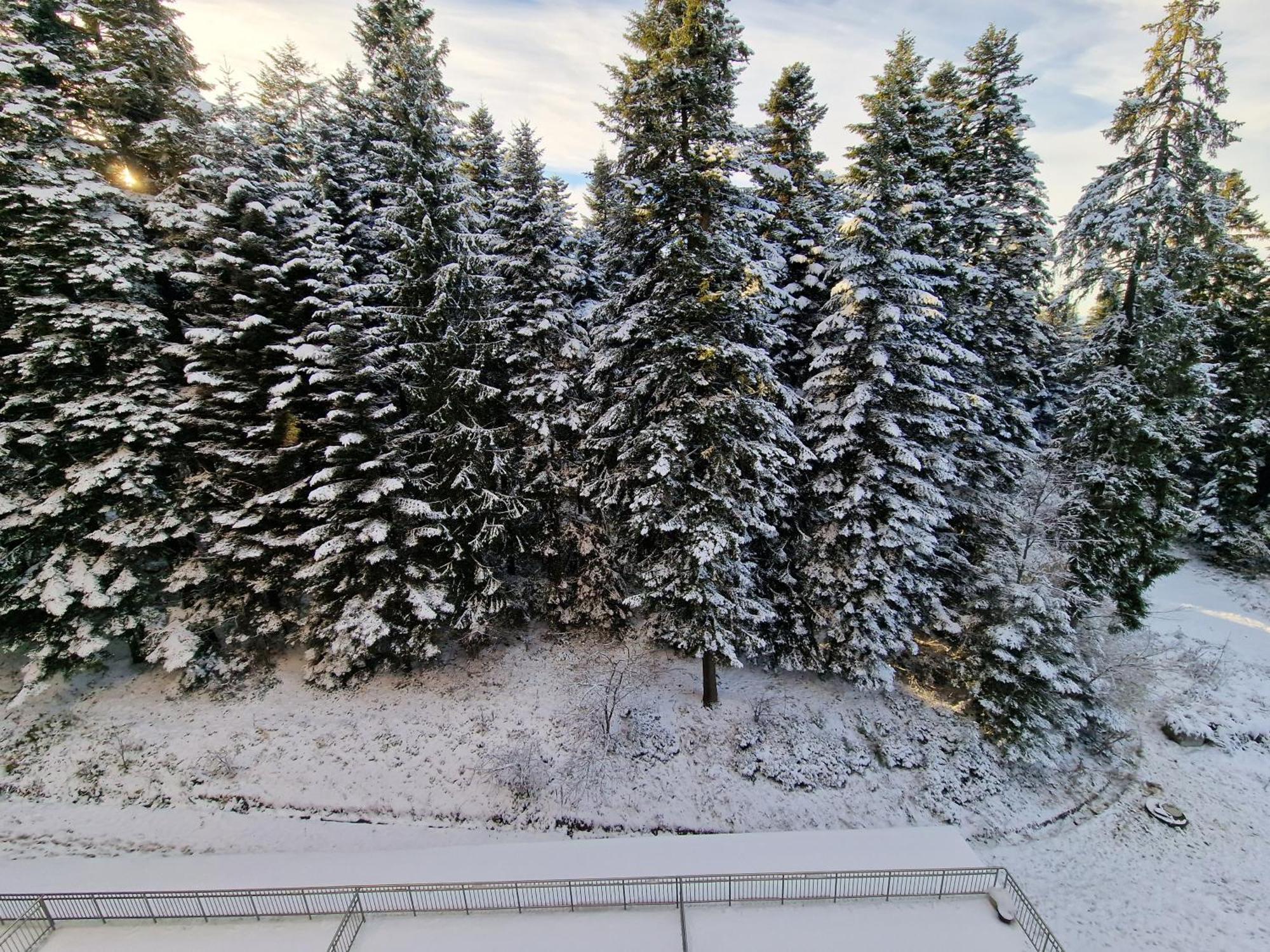 Flora Apartments Tmf Borovets Værelse billede
