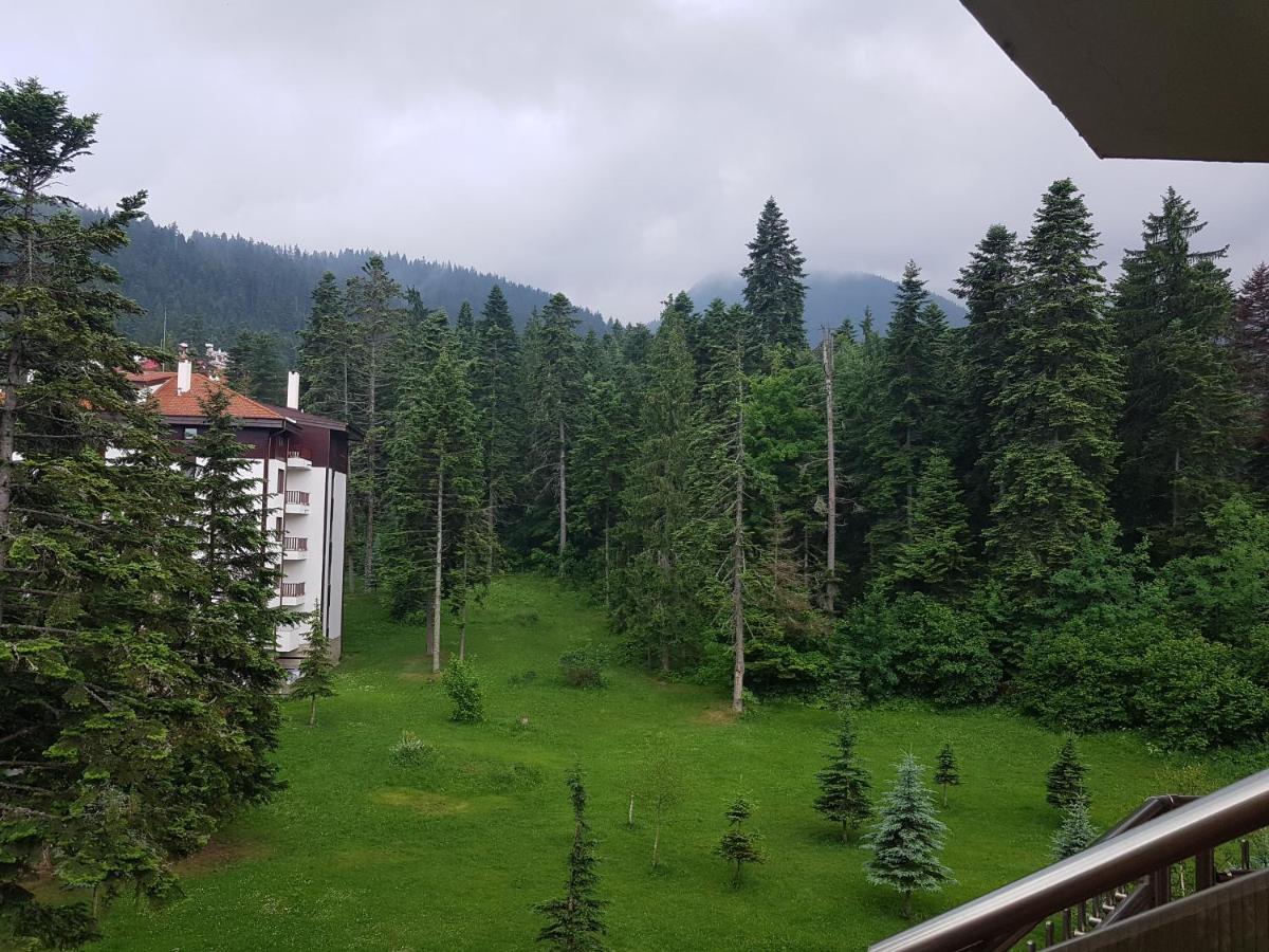 Flora Apartments Tmf Borovets Eksteriør billede