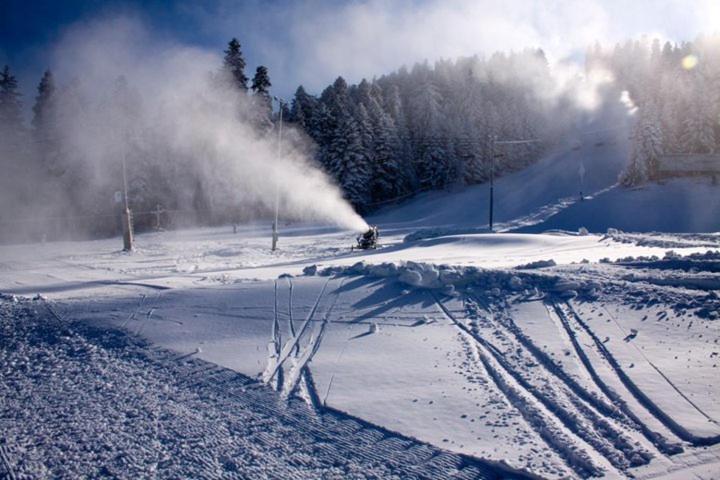 Flora Apartments Tmf Borovets Eksteriør billede