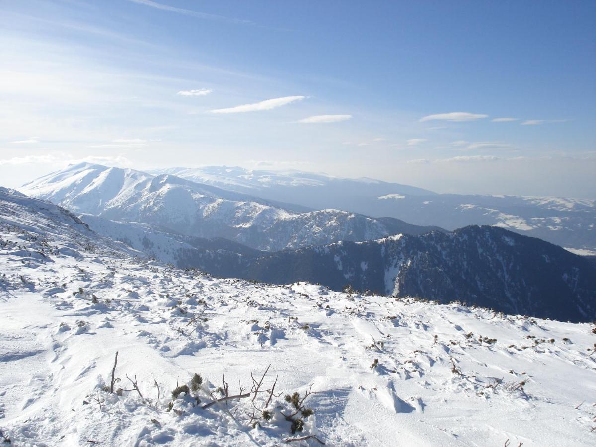 Flora Apartments Tmf Borovets Eksteriør billede